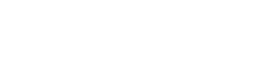 dvs.Capital